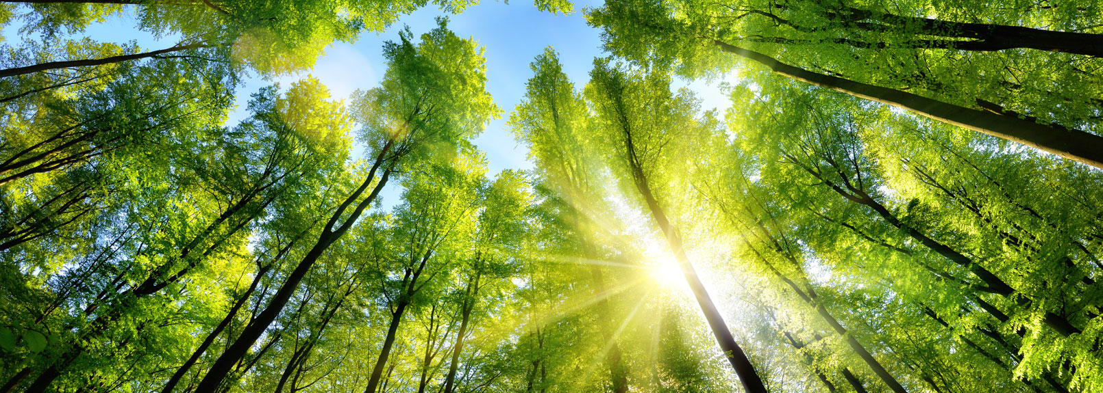 Environment-benefits-with-GRT-soil-stabilization-dust-control-solutions