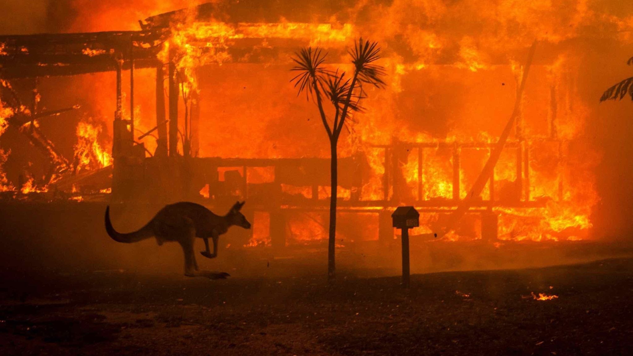 global-road-technology-bushfire-recovery-natural-disasters