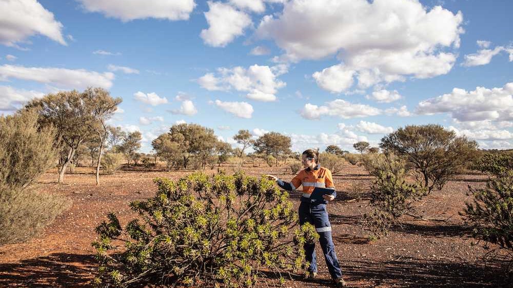 queensland-announces-new-clean-energy-targets