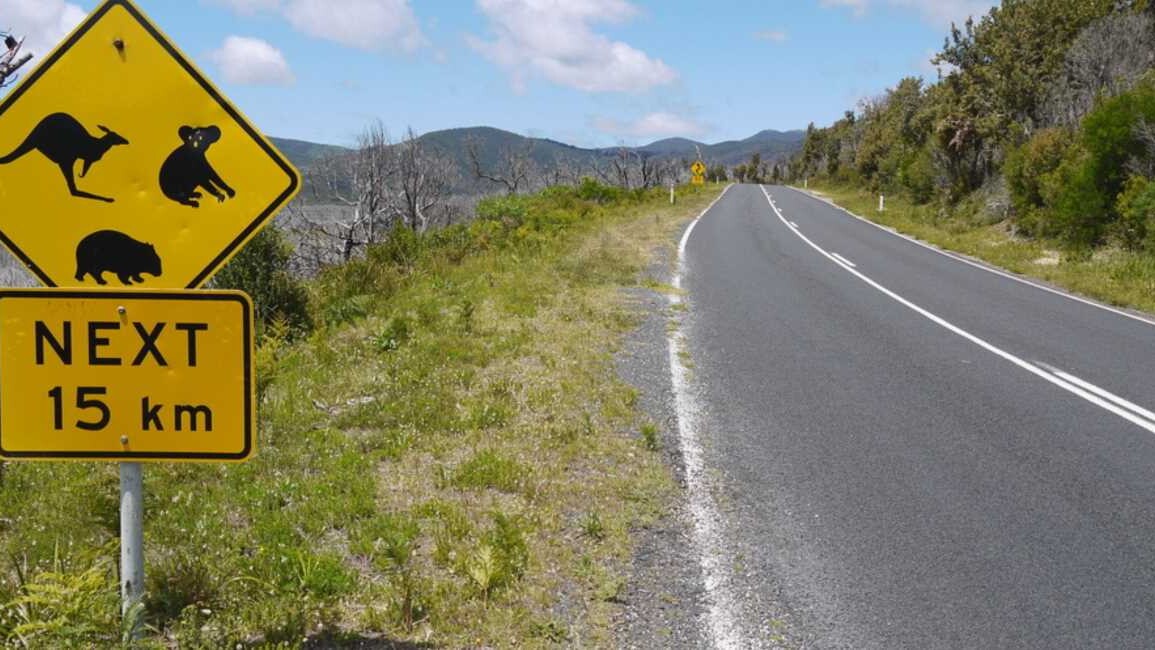 Rural Road Safety Month Support